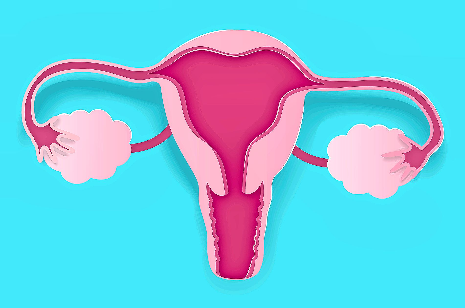 Illustration eines Uterus auf hellblauem Hintergrund.