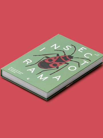 Buchcover mit einem Marienkäfer in kräftigen Farben.