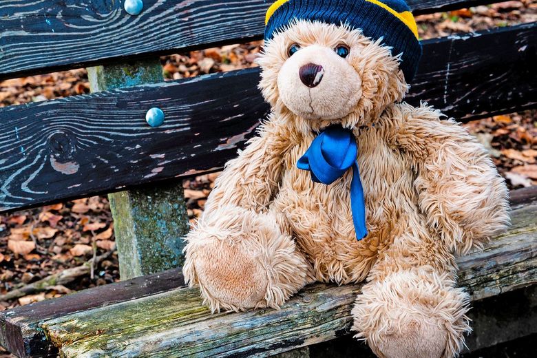 teddy bear sitting on a bench