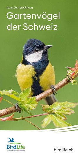 Cover der Broschüre