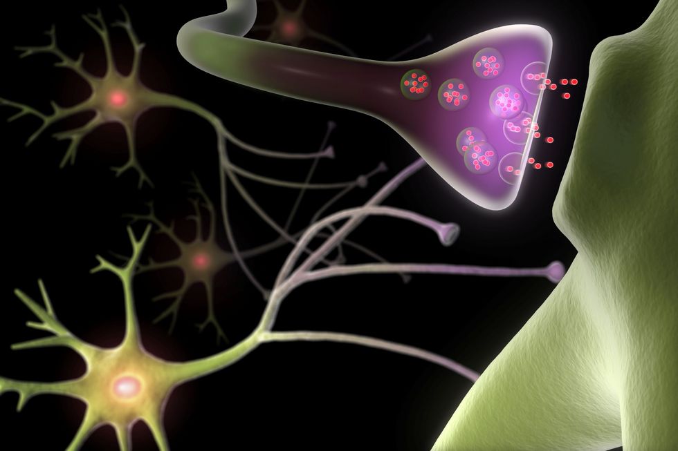 Synapse und Neuronen.