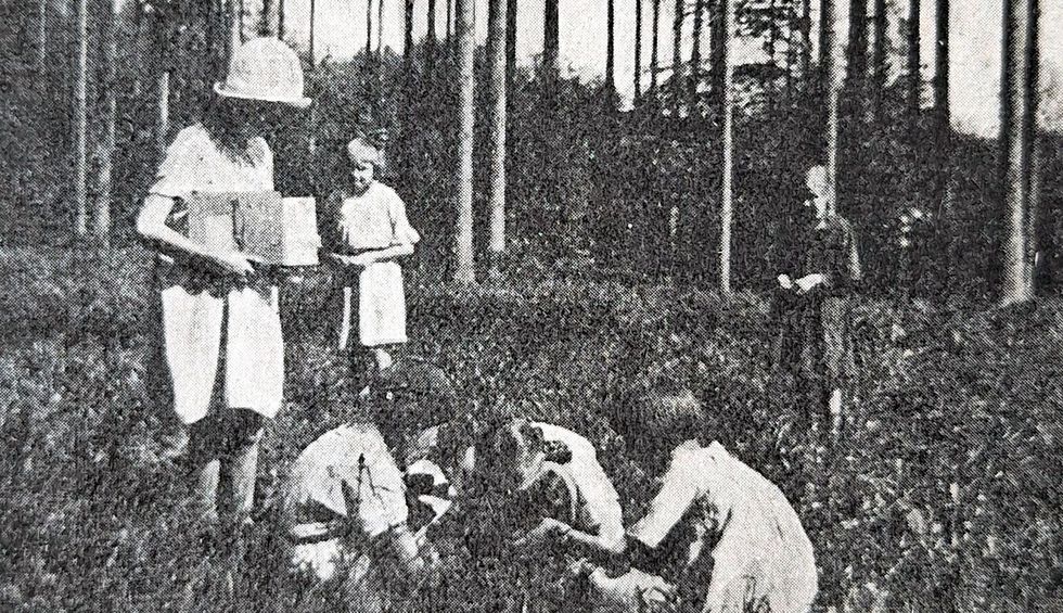 Altes Foto von Kindern, die im Gras nach etwas suchen.