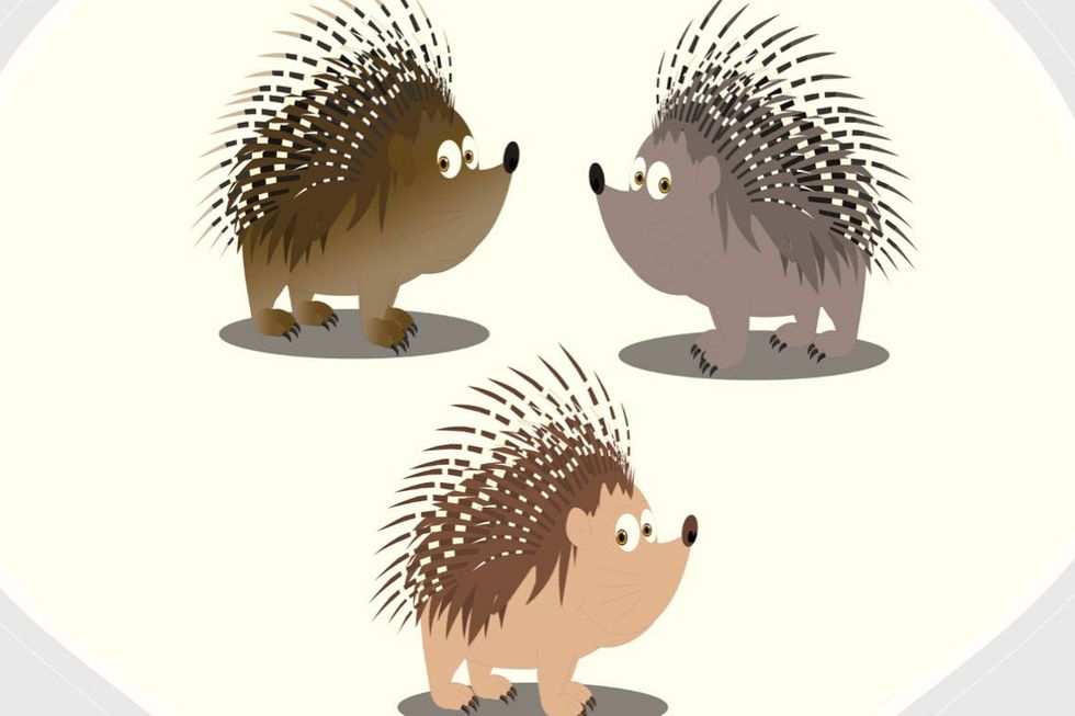 Illstration einer kleinen Stachelschweingruppe