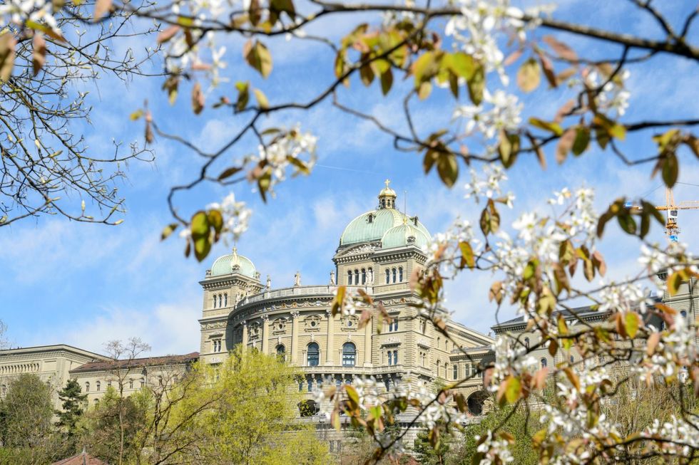 Bundeshaus im Frühling mit blühendem Baum im Vordergrund