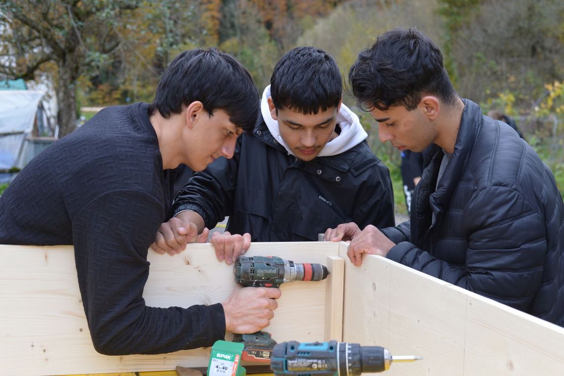 Junge Männer schrauben mit dem Akkubohrer ein Holzgestell zusammen.