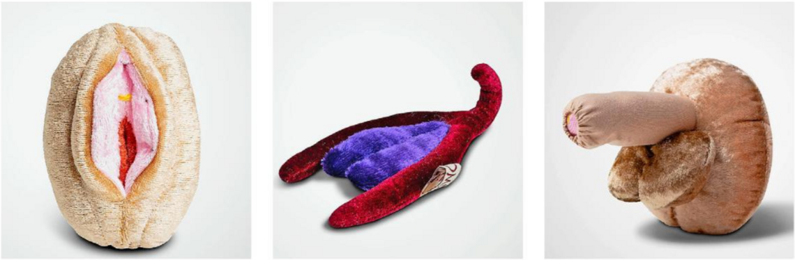 Diverse Plüschgenitalien.