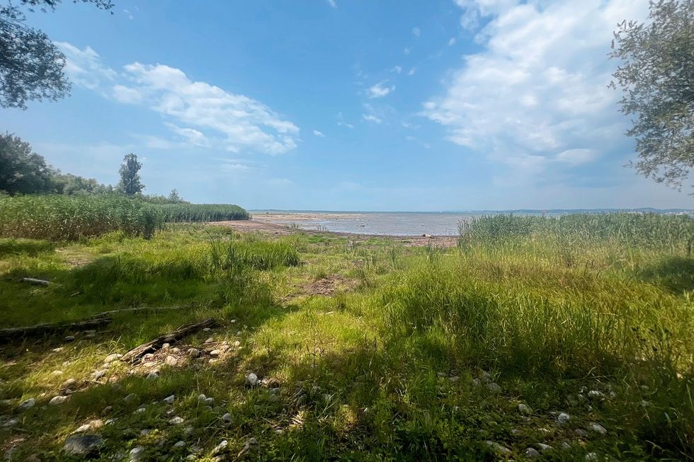 Ein See, umgeben von Gras, mit einem blauen Himmel darüber.