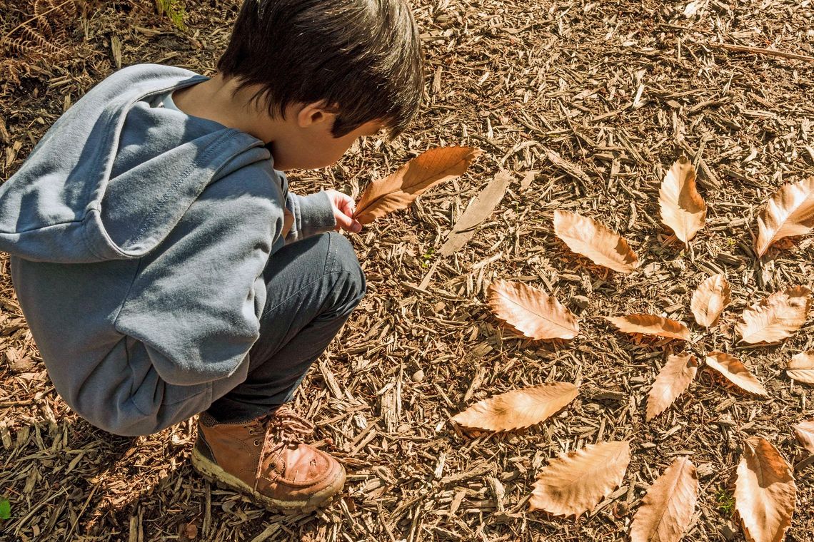 Ein Kind kauert am Waldboden und legt mit braunen Blättern von Bäumen ein kreisförmiges Muster.