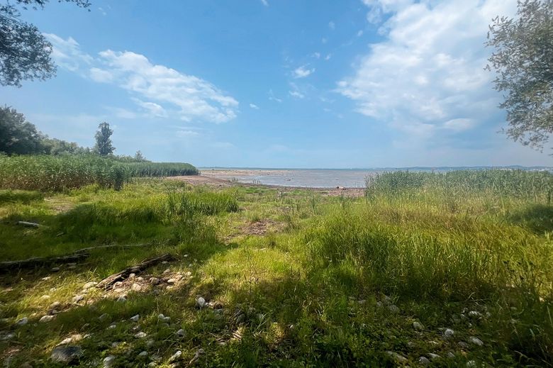 1626609764 Ein See, umgeben von Gras, mit einem blauen Himmel darüber.