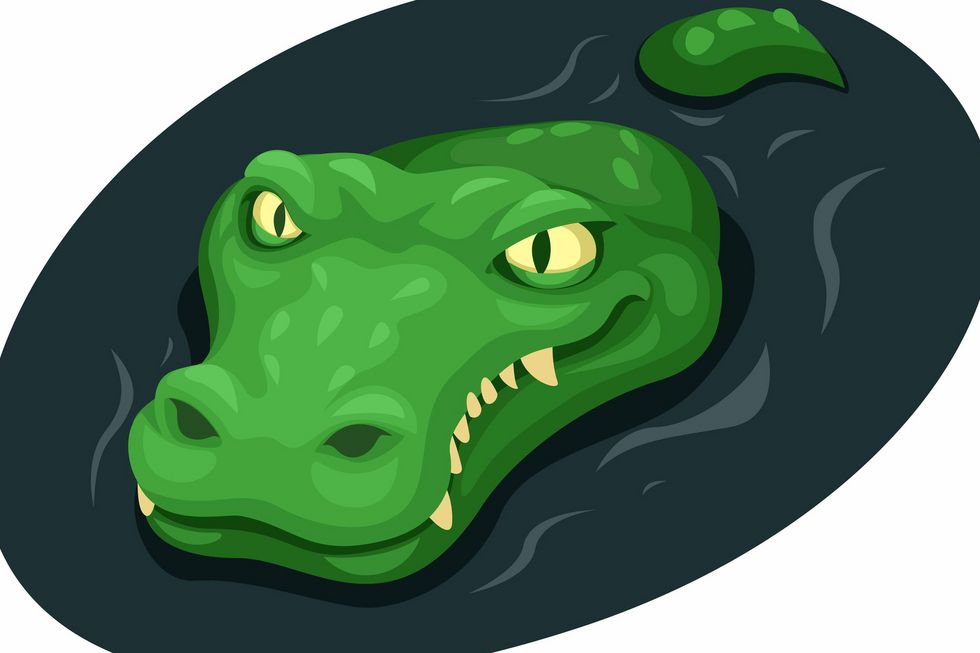 Im Teich lauert ein Krokodil