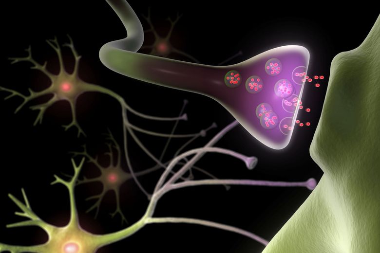 Synapse und Neuronen.