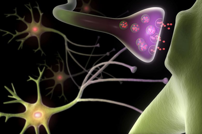 Synapse und Neuronen.