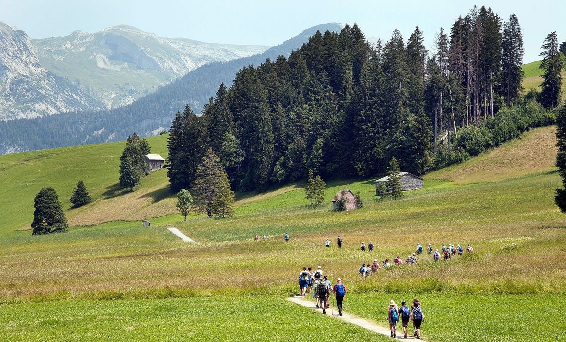 Eine Schulklasse wandert über ein Feld auf einen Wald zu - in der Ferne sieht man die Churfirsten.