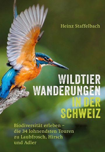 Das Cover des Buchs "Wildtier-Wanderungen in der Schweiz" zeigt einen Eisvogel.