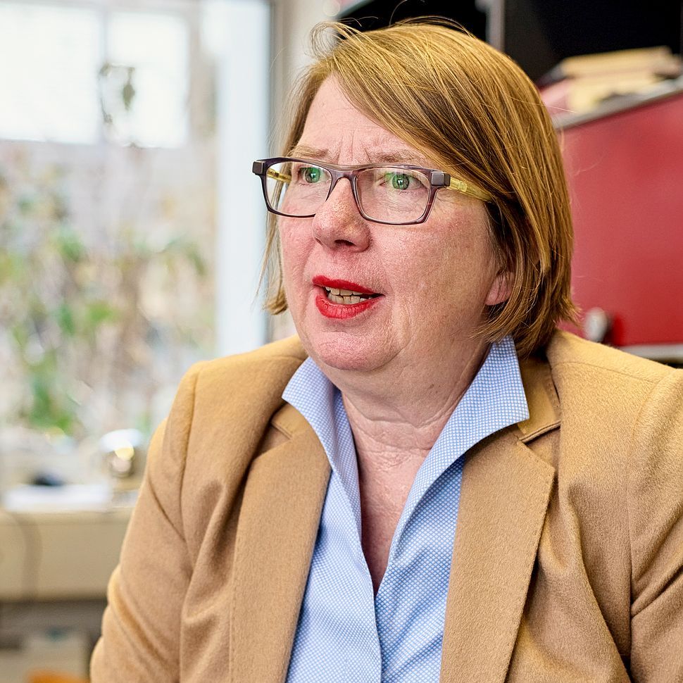 Elsbeth Stern im Interview