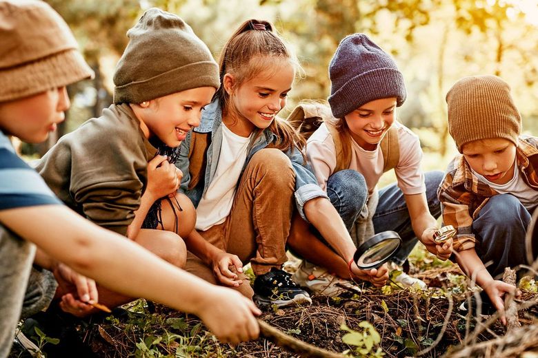 Lächelnde Kinder kauern im Wald am Boden und untersuchen dort etwas.